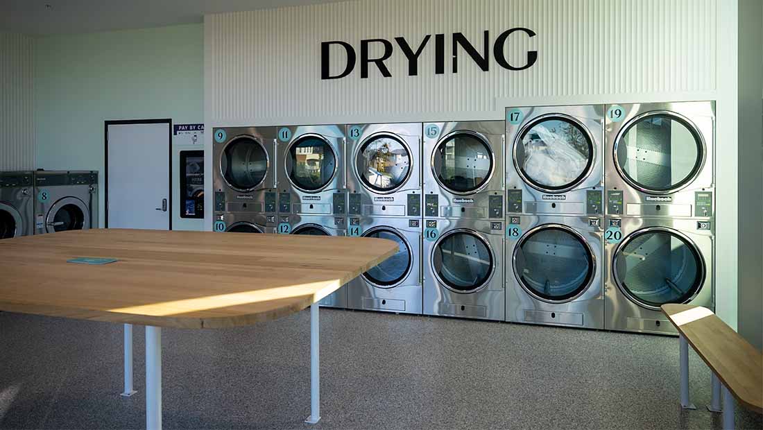 The Laundry Co
